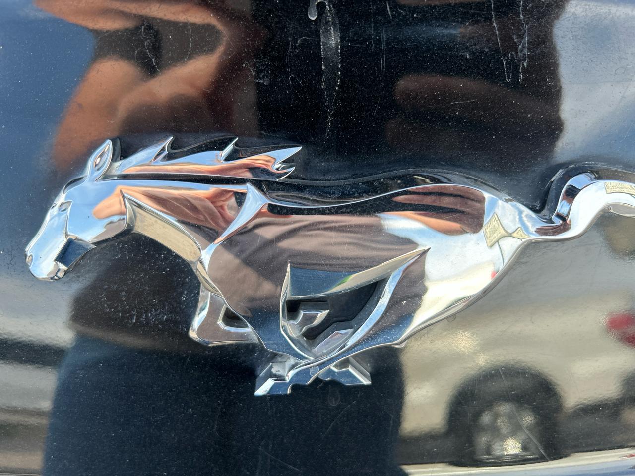 Ford Mustang EcoBoost Fastback 2021