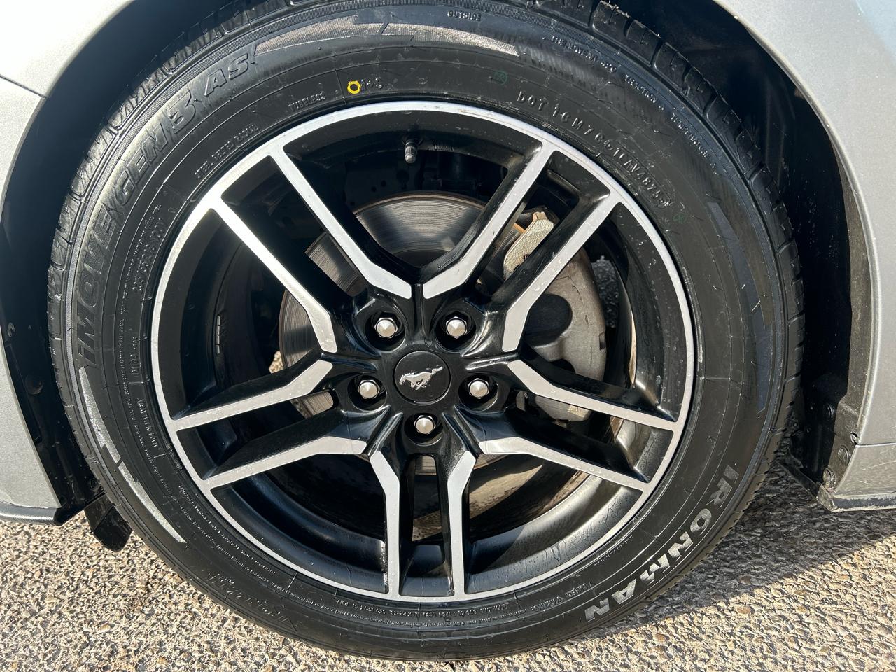 Ford Mustang EcoBoost Fastback 2021