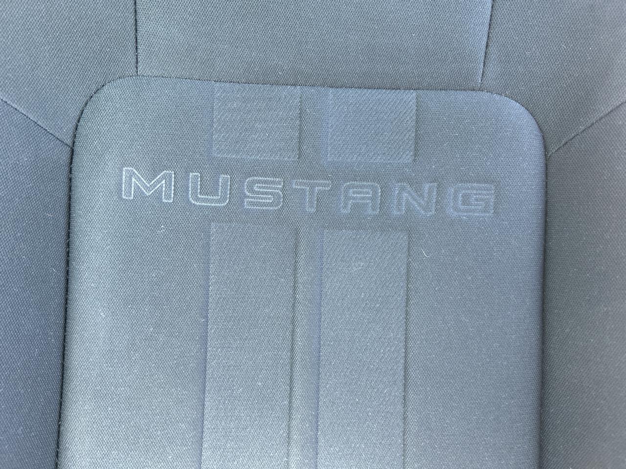 Ford Mustang EcoBoost Fastback 2021