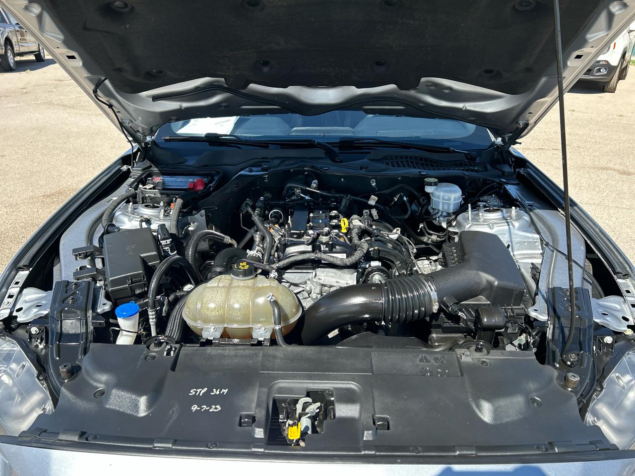 Ford Mustang EcoBoost Fastback 2021