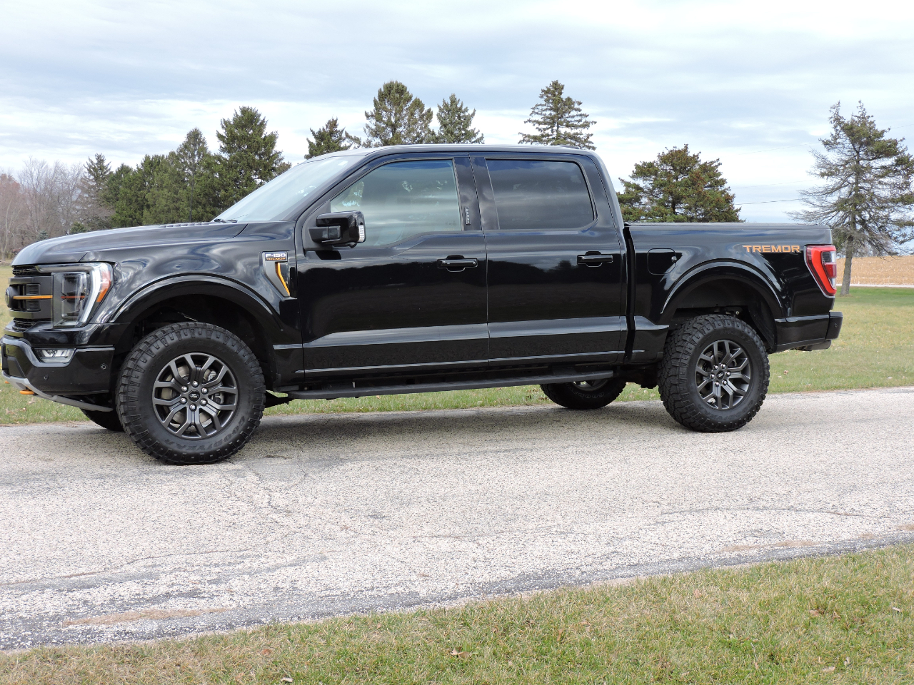 2021 Ford F-150 Tremor photo 2
