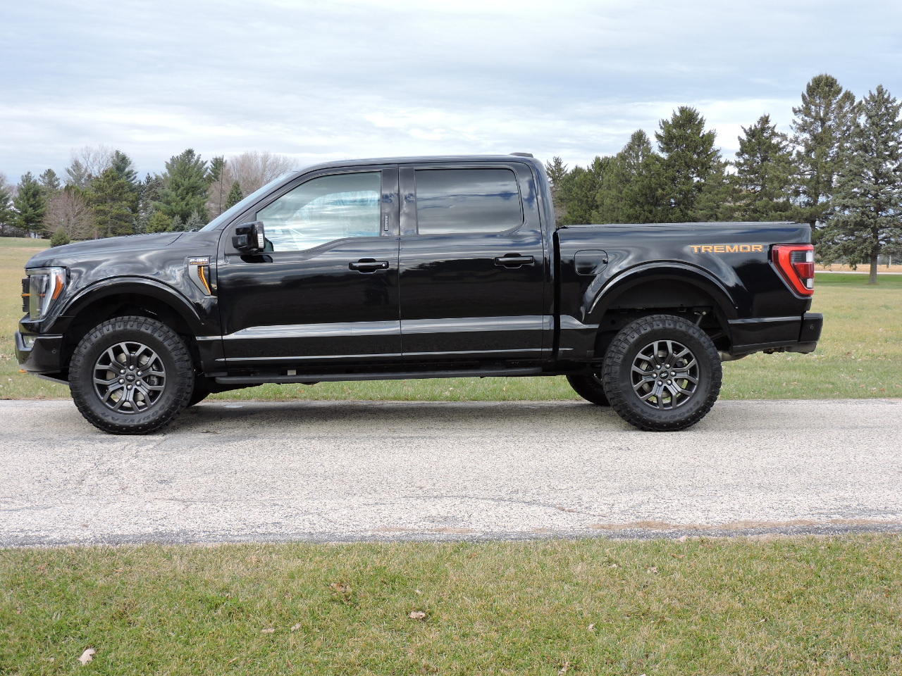 2021 Ford F-150 Tremor photo 3