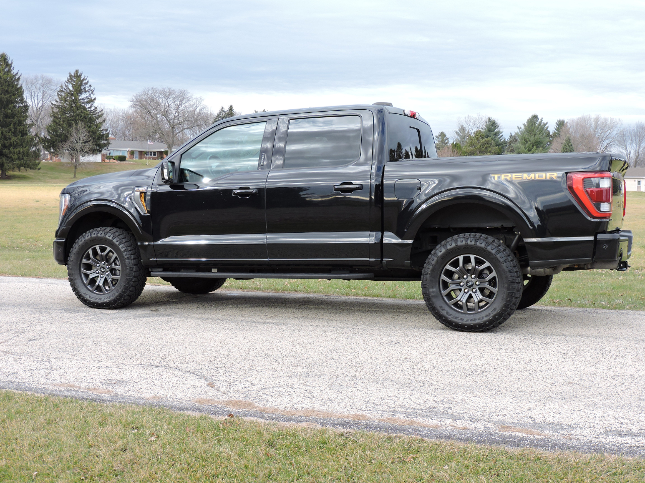 2021 Ford F-150 Tremor photo 4