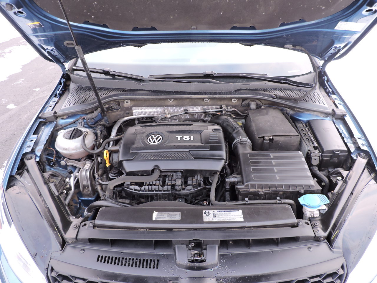 Volkswagen Golf Alltrack 1.8T S DSG 2017