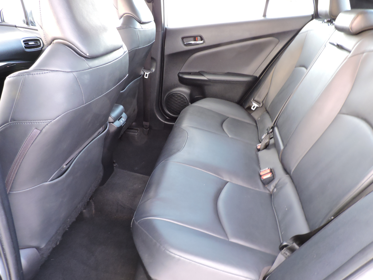 Toyota Prius XLE (Natl) 2021