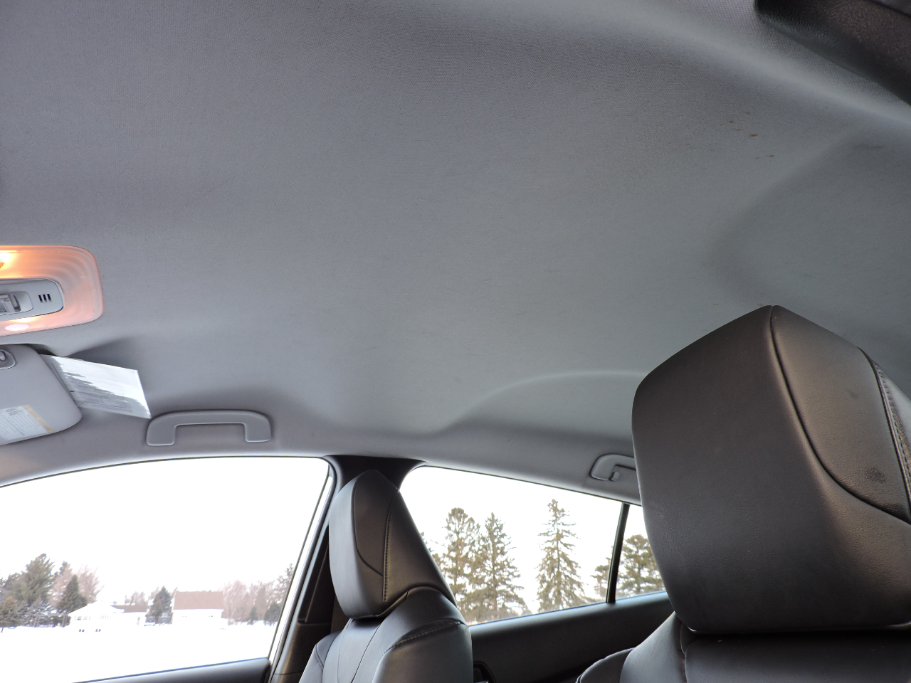 Toyota Prius XLE (Natl) 2021