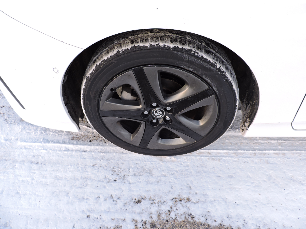 Toyota Prius XLE (Natl) 2021