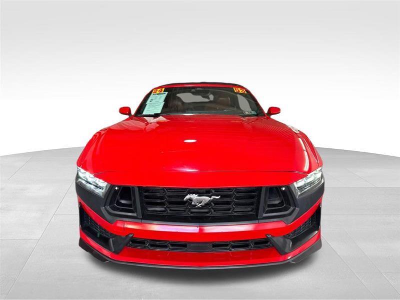 Ford Mustang photo 2