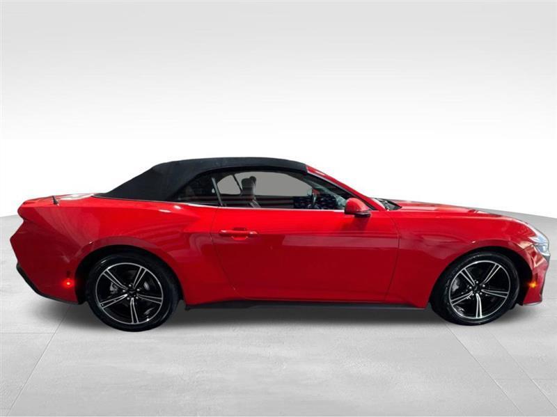 Ford Mustang photo 4