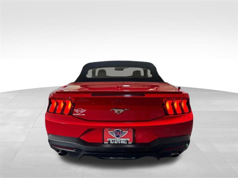 Ford Mustang photo 6