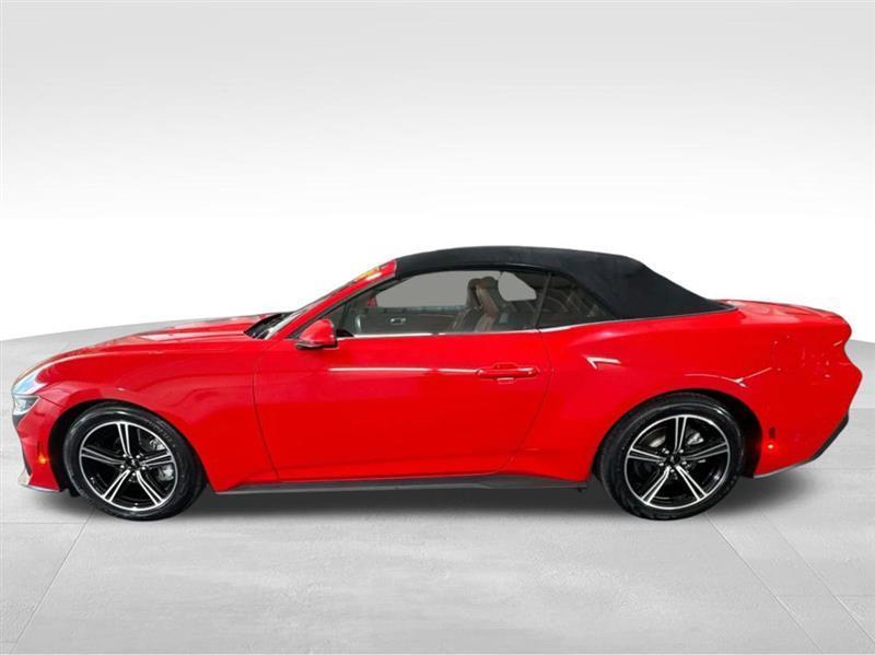 Ford Mustang photo 8