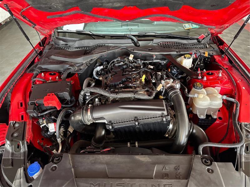 Ford Mustang photo 21