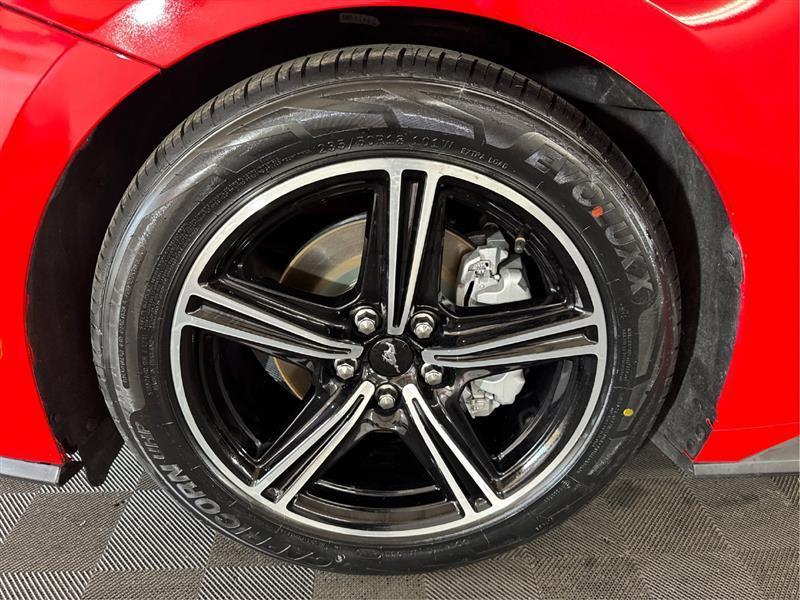 Ford Mustang photo 22