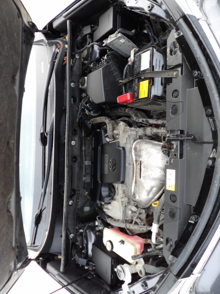 Toyota RAV4 LE AWD (Natl) 2017