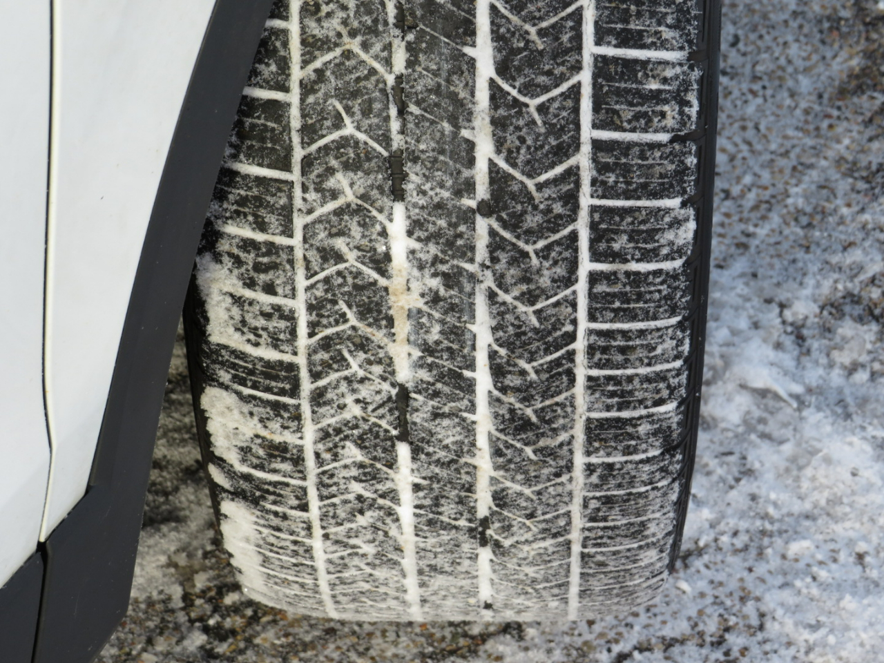 Volkswagen Tiguan SE 4Motion 2022