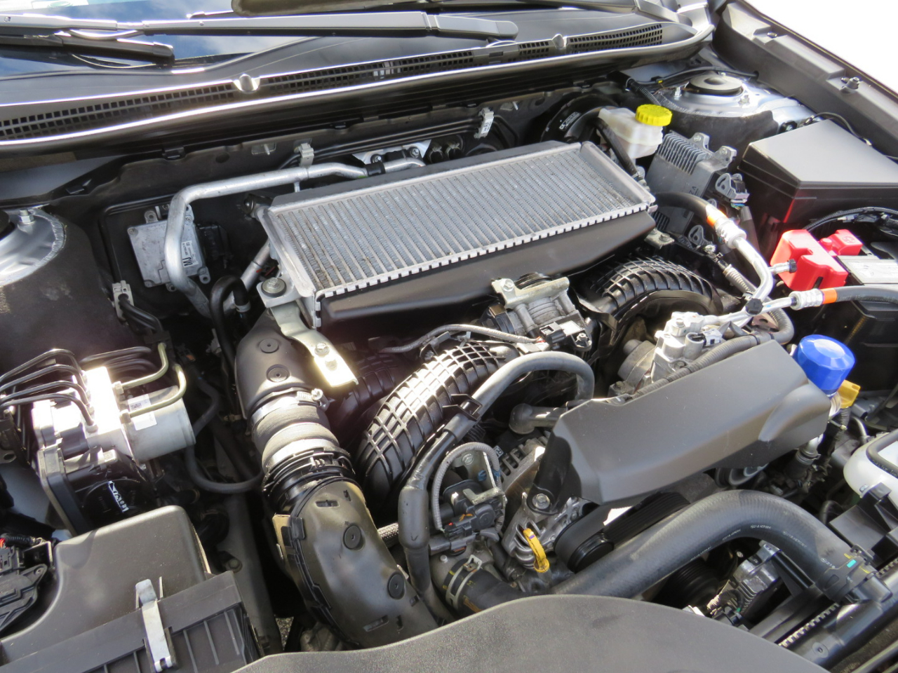 Subaru Outback Wilderness 2022 Subaru Outback Wilderness 2022