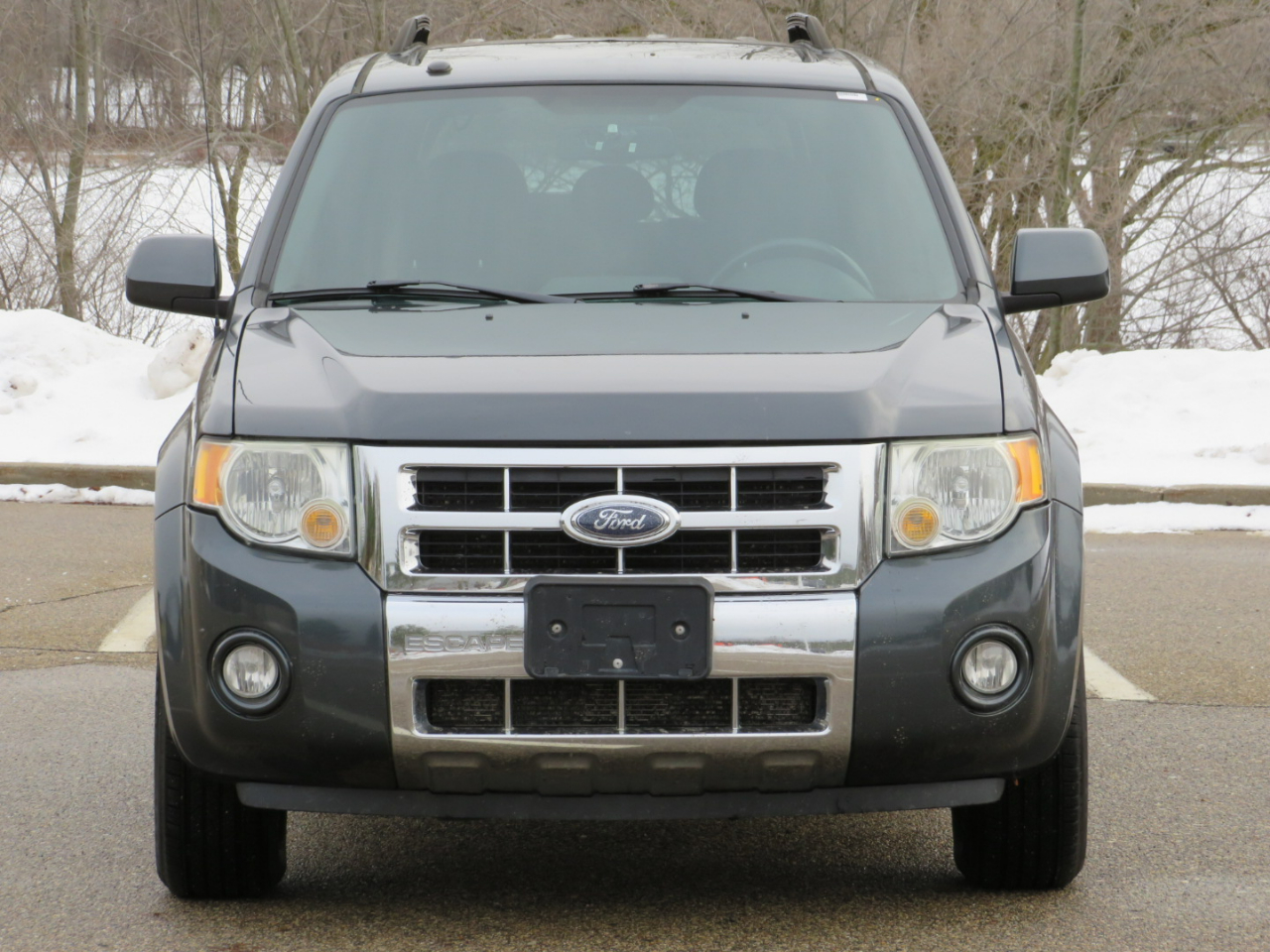 Ford Escape Limited 2WD 2008