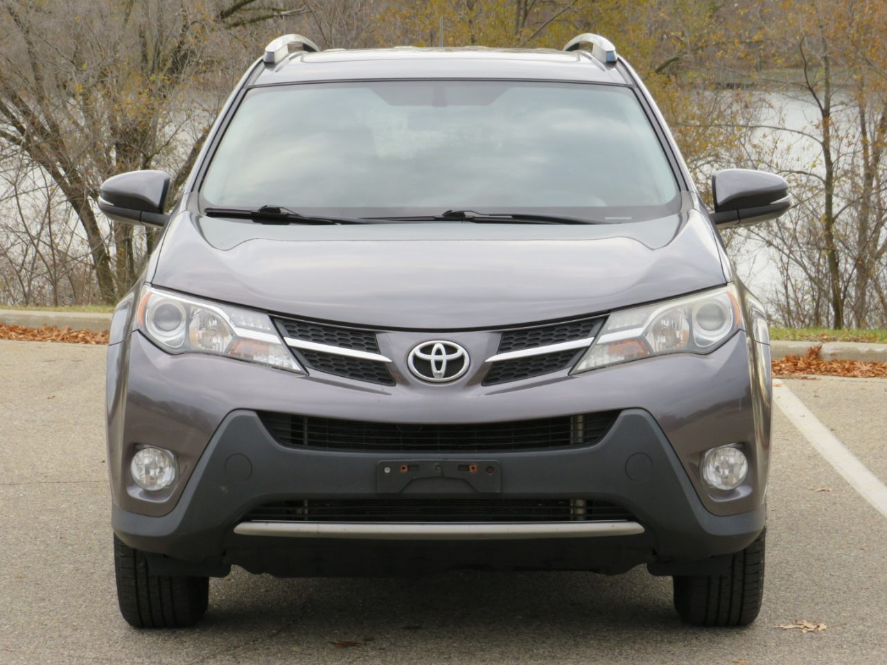 2015 Toyota RAV4 XLE photo 3