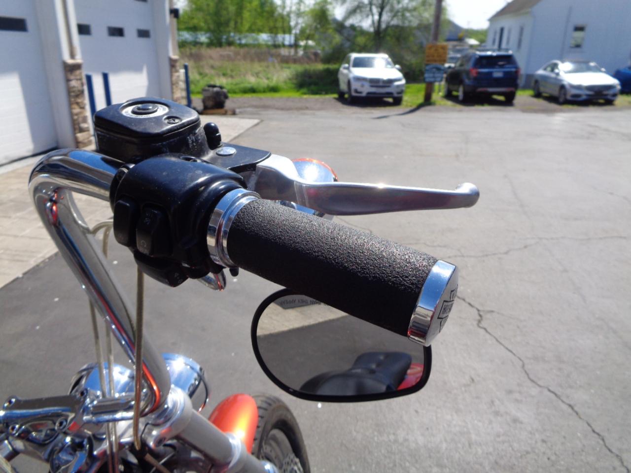 Harley-Davidson Fat Bob  2011