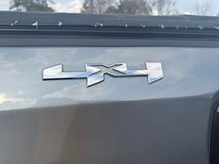 GMC Sierra 1500 4WD Double Cab 147" Elevation w/3SB 2021