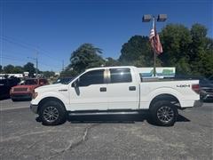 2010 Ford F-150 