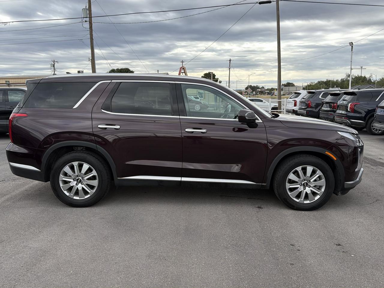 Hyundai Palisade  2024