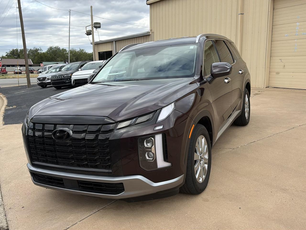 Hyundai Palisade  2024