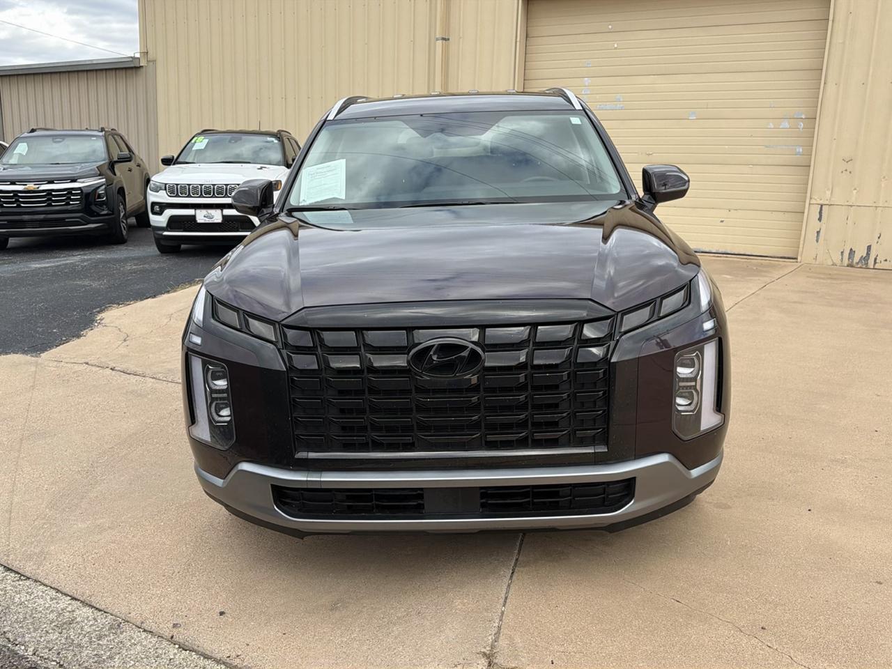 Hyundai Palisade  2024