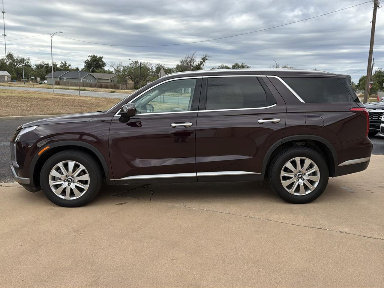 Hyundai Palisade  2024