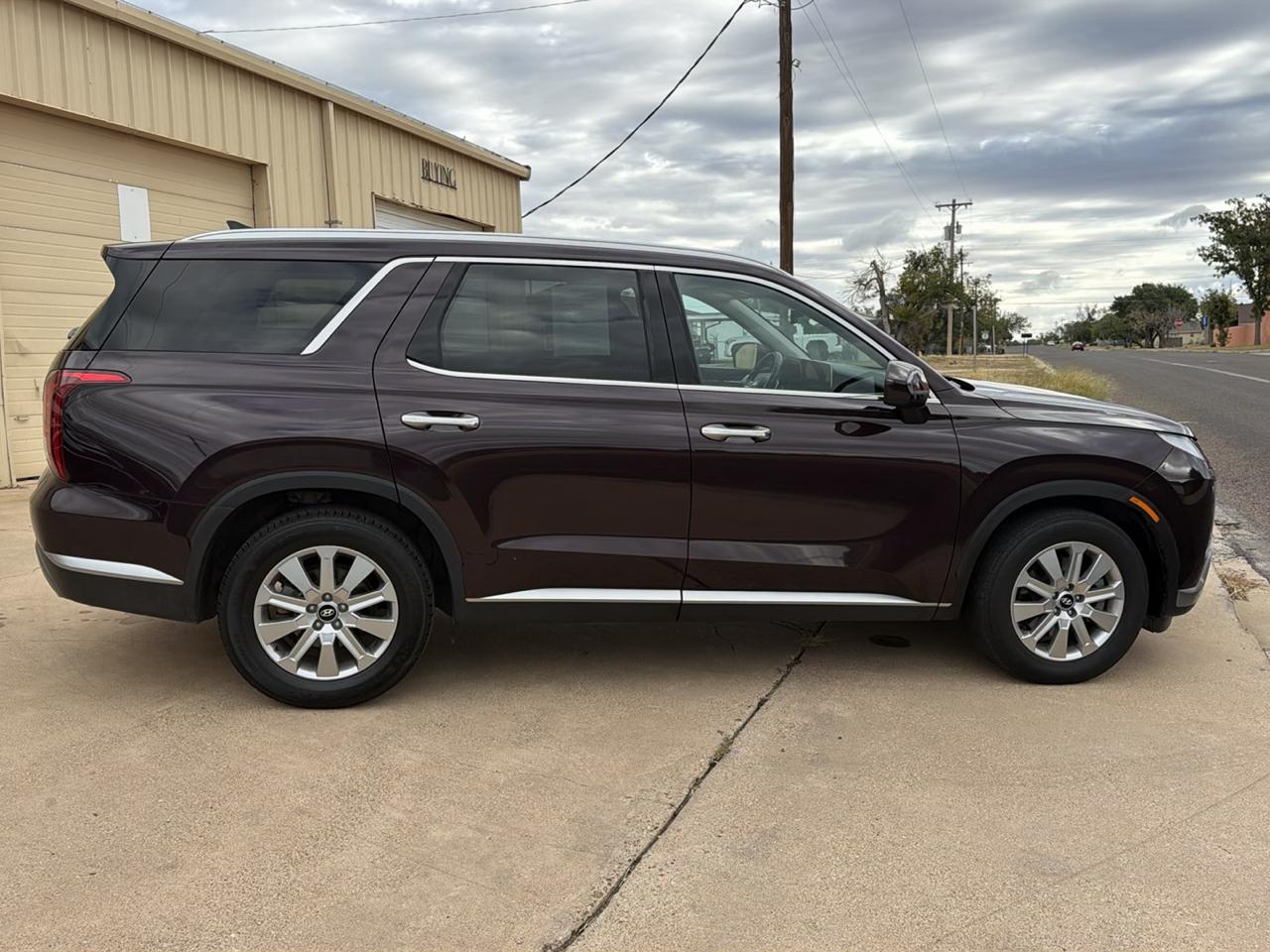 Hyundai Palisade  2024