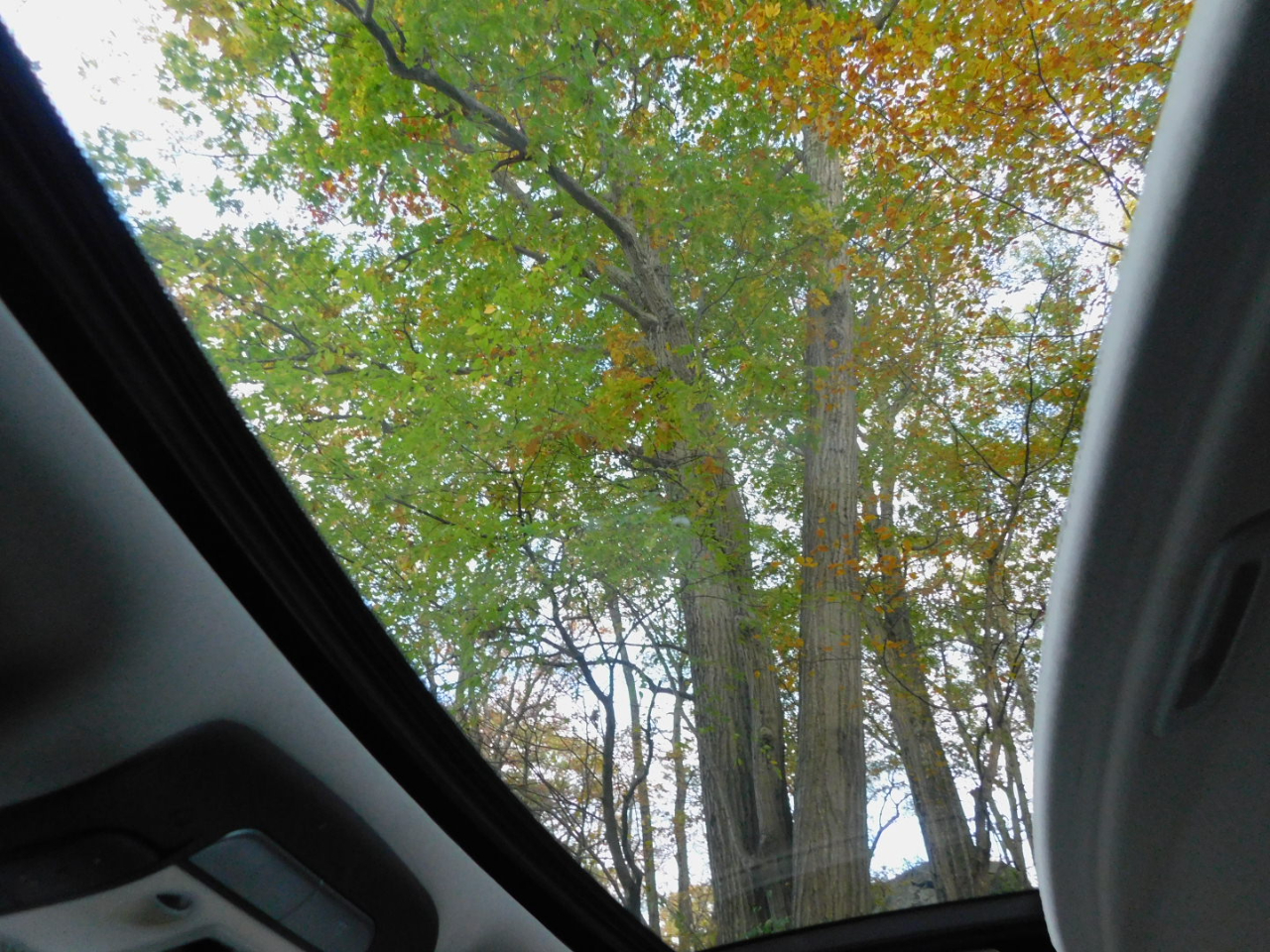 Acura TL 6-Speed AT SH-AWD with Tech Package and HPT 2014 Acura TL 6-Speed AT SH-AWD with Tech Package and HPT 2014