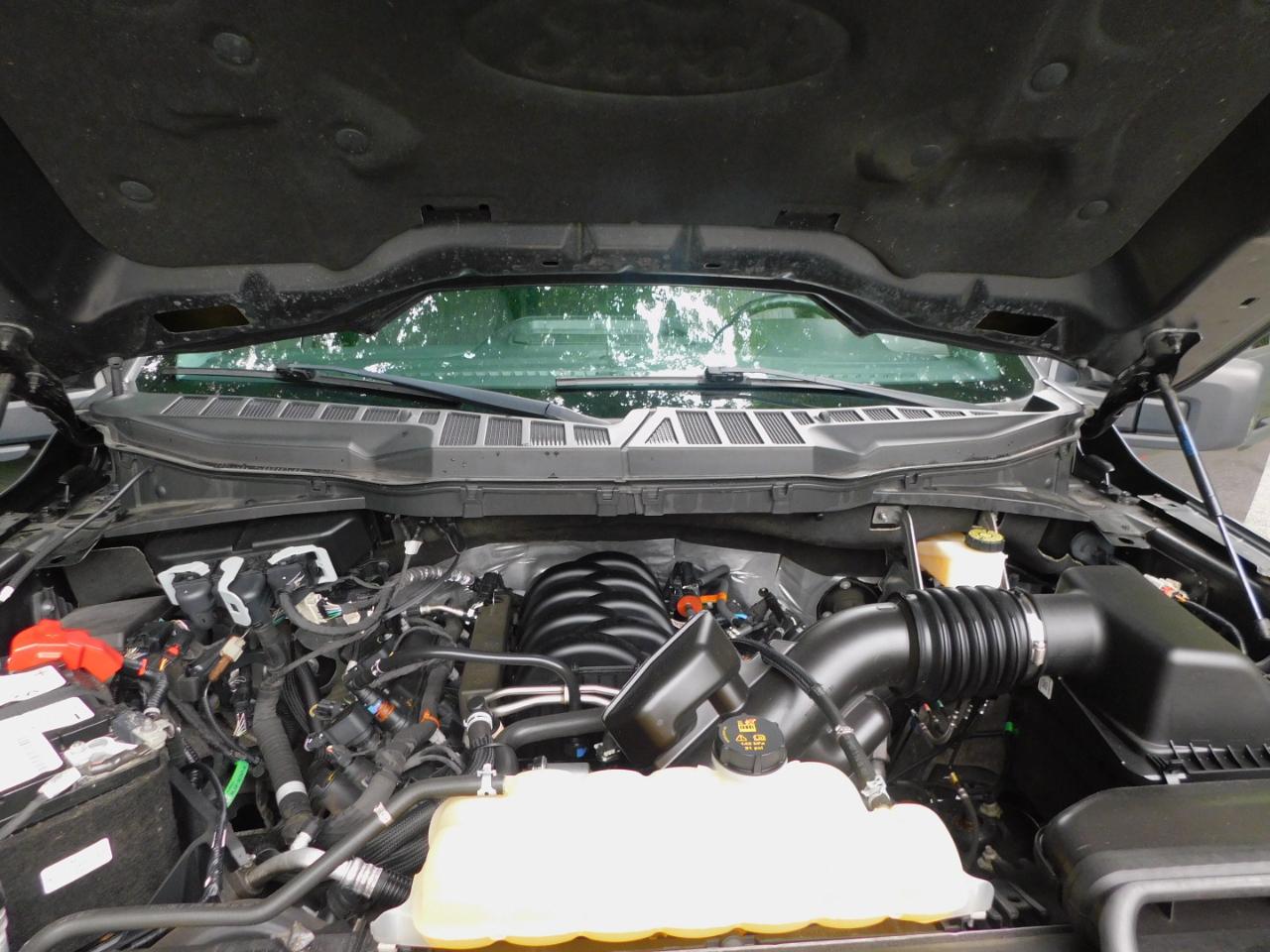 Ford F-150 133" WB "S"/Special 2023