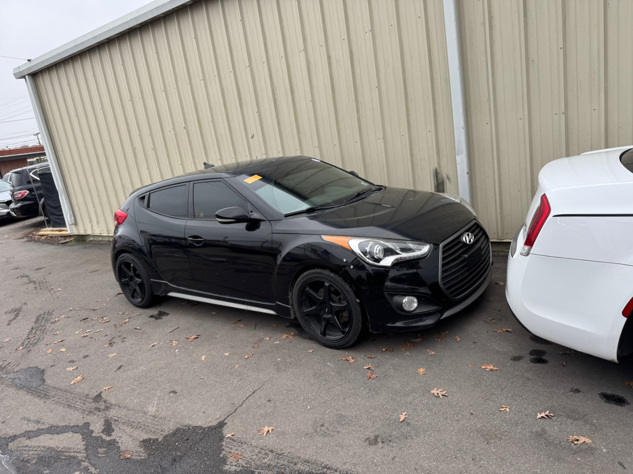 2016 Hyundai Veloster Turbo R-Spec Rally Edition photo 2