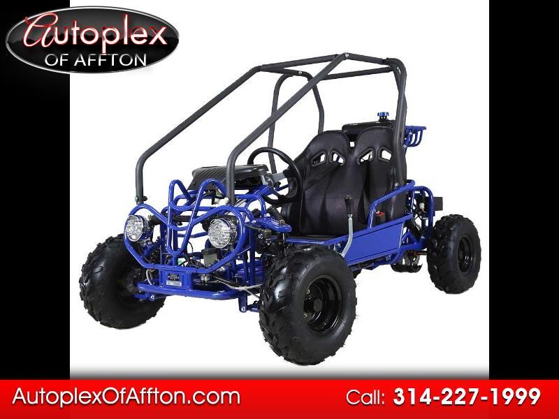 tao tao buggy