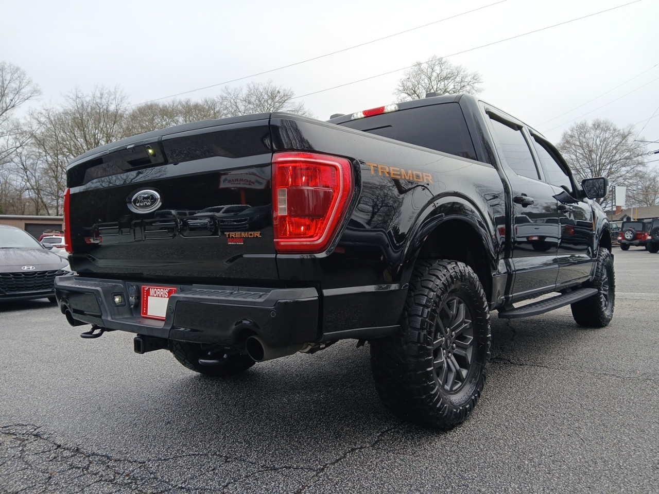 Ford F-150 Tremor 4WD SuperCrew 5.5' Box 2021