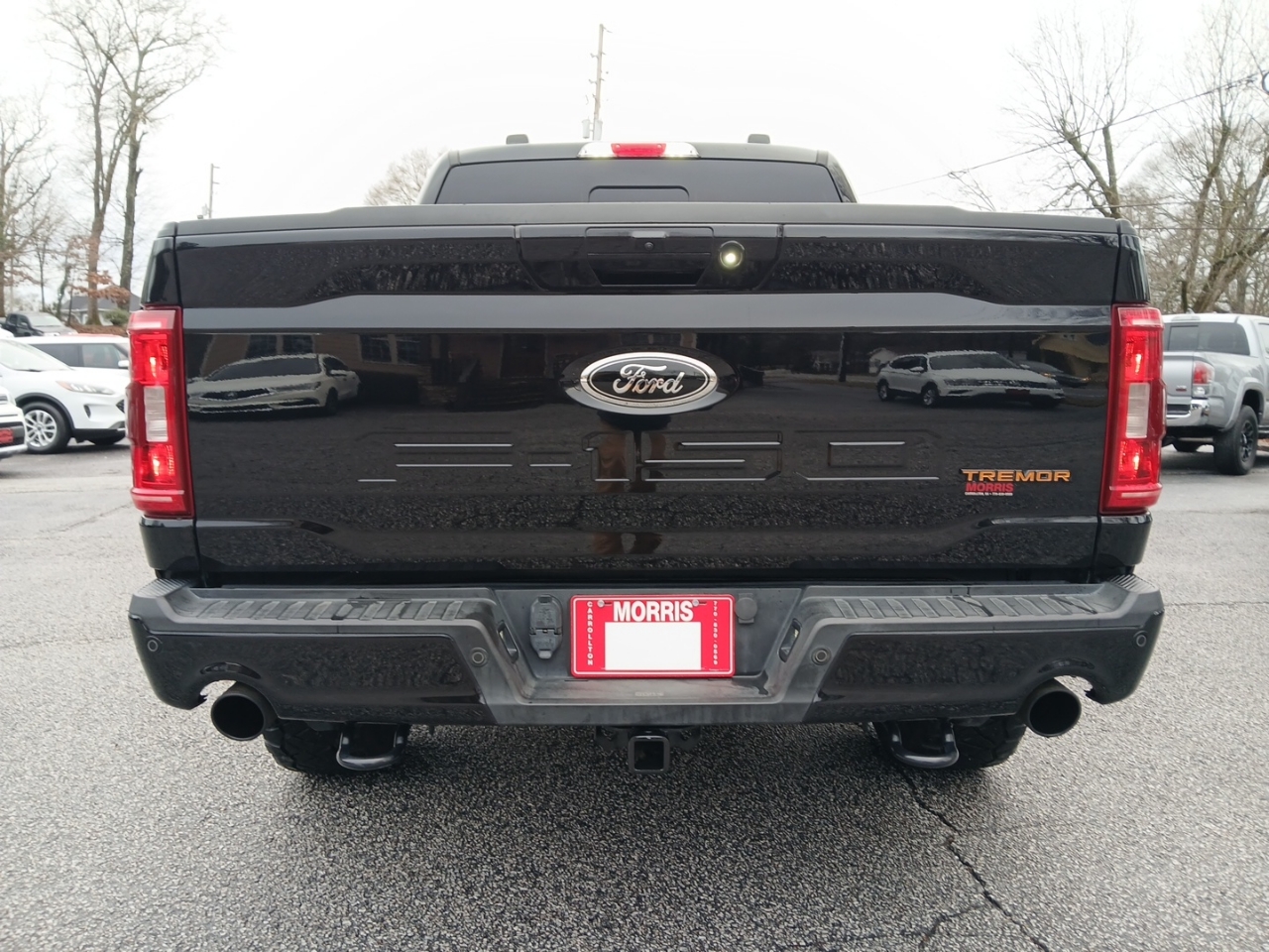 Ford F-150 Tremor 4WD SuperCrew 5.5' Box 2021