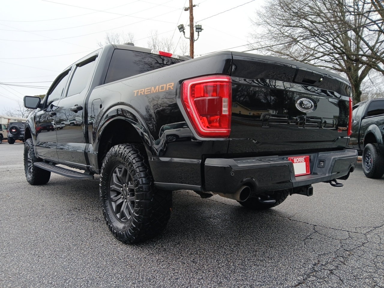 Ford F-150 Tremor 4WD SuperCrew 5.5' Box 2021