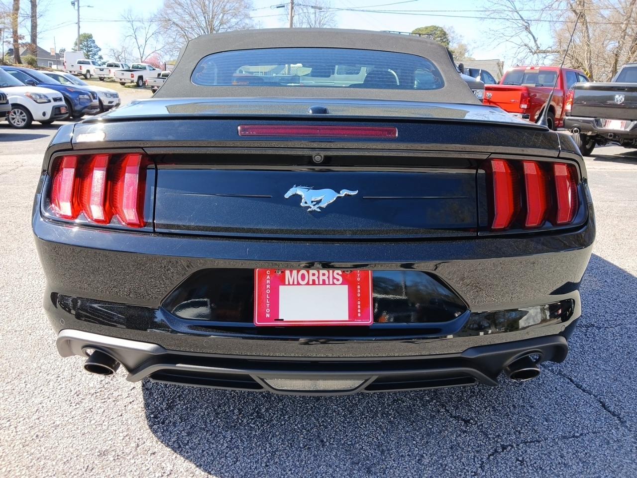Ford Mustang EcoBoost Premium Convertible 2022