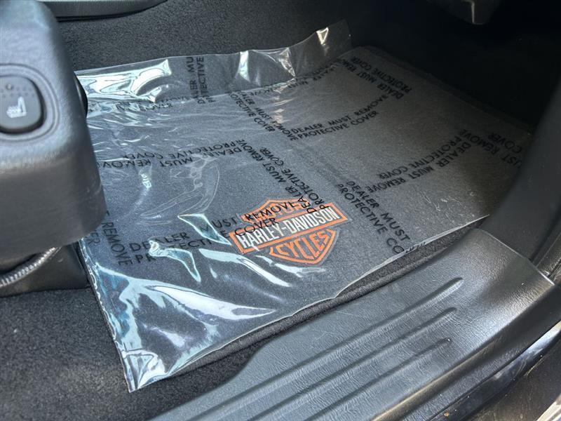 Ford F-150 Harley-Davidson SuperCrew 2WD 2002