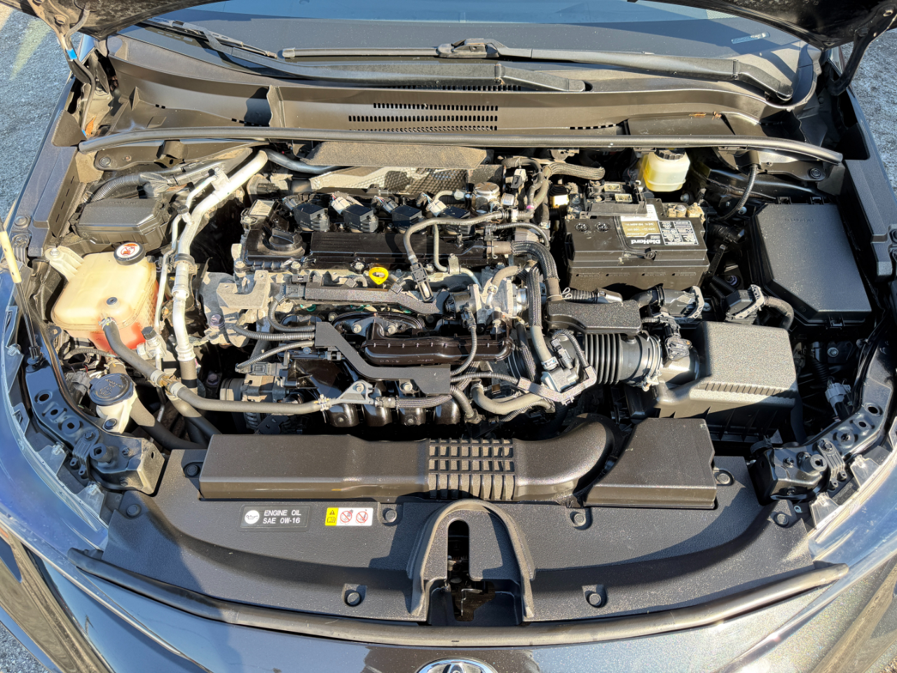 Toyota Corolla SE CVT (Natl) 2020