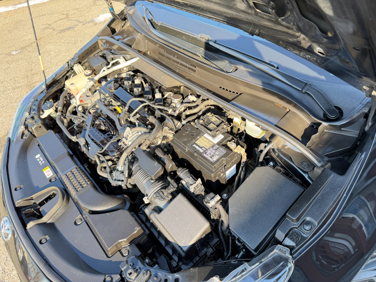 Toyota Corolla SE CVT (Natl) 2020