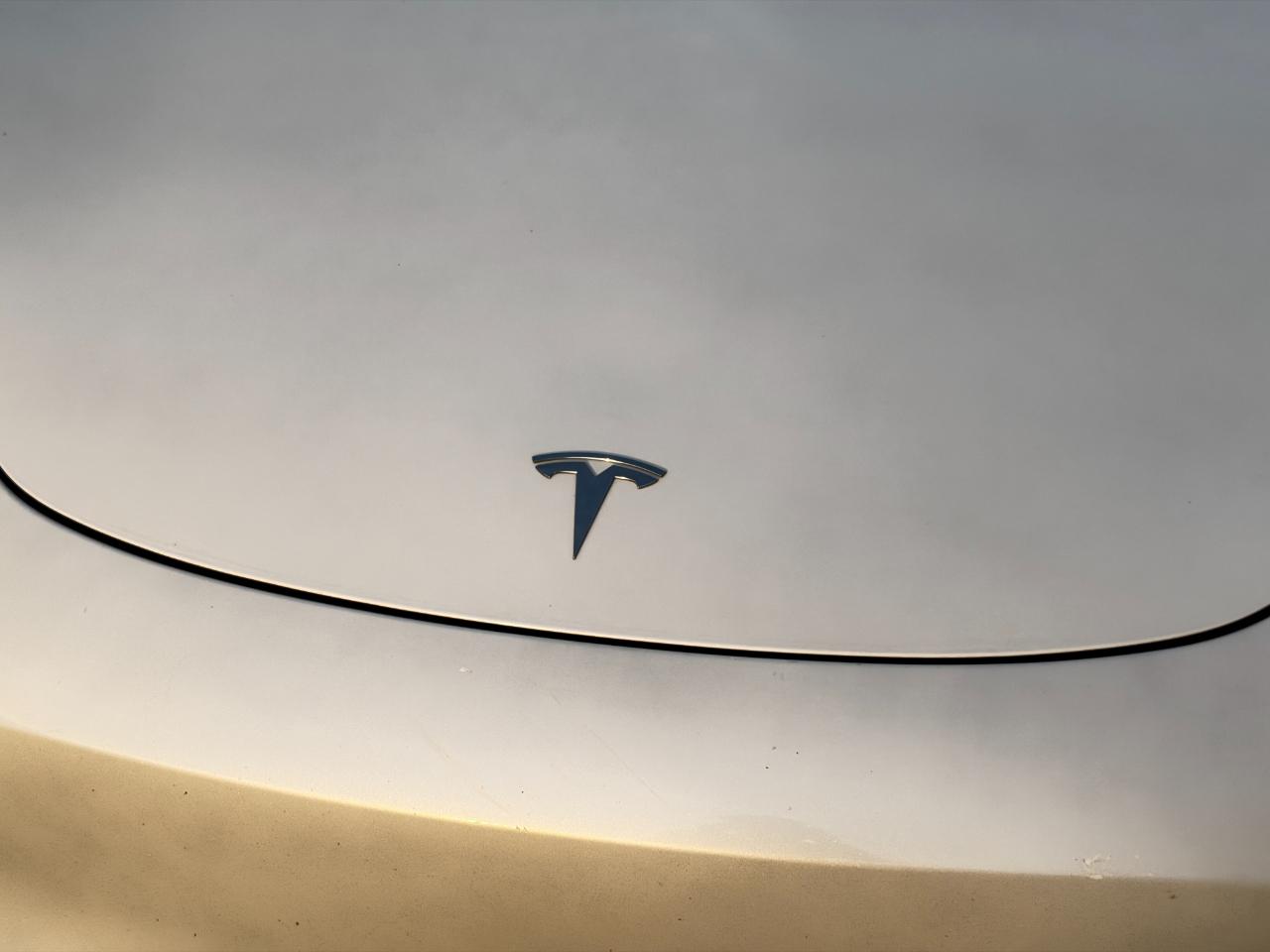 Tesla Model 3 Performance 4D Sedan AWD 2019