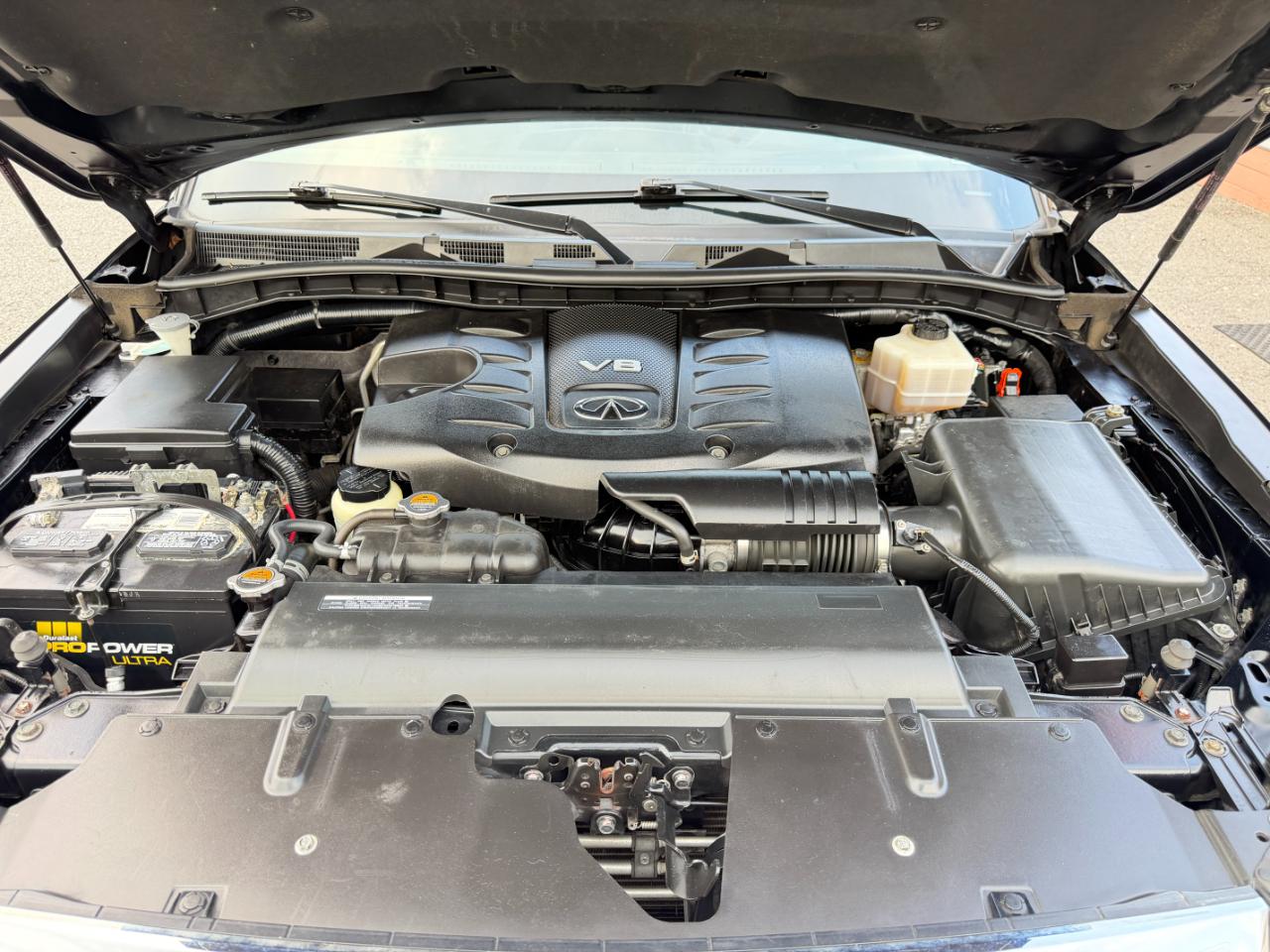 Infiniti QX80 AWD 2018