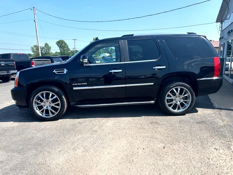 Cadillac Escalade AWD 2011 Cadillac Escalade AWD 2011