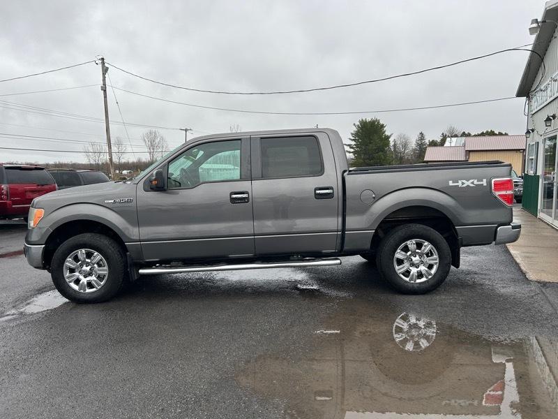 Ford F-150 XLT SuperCrew 6.5-ft. Bed 4WD 2011