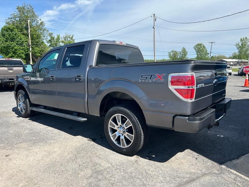 Ford F-150 Platinum SuperCrew 6.5-ft. Bed 4WD 2014