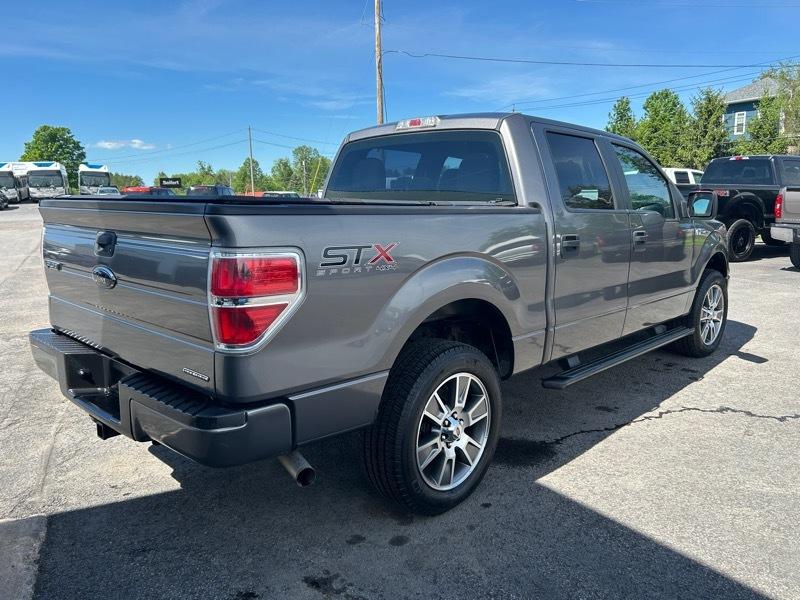 Ford F-150 Platinum SuperCrew 6.5-ft. Bed 4WD 2014