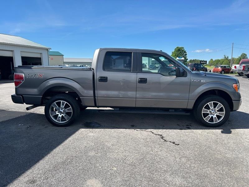 Ford F-150 Platinum SuperCrew 6.5-ft. Bed 4WD 2014