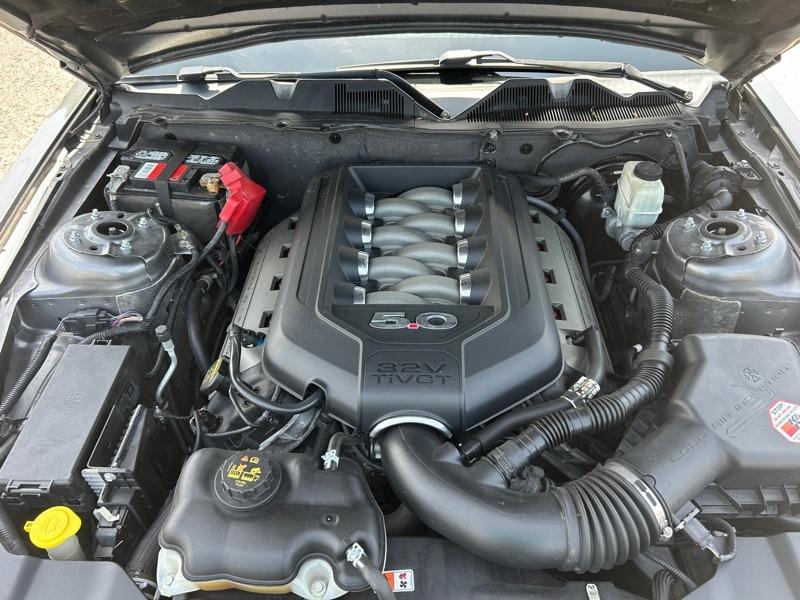 Ford Mustang GT Coupe 2014