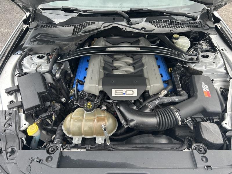 Ford Mustang GT Coupe 2017